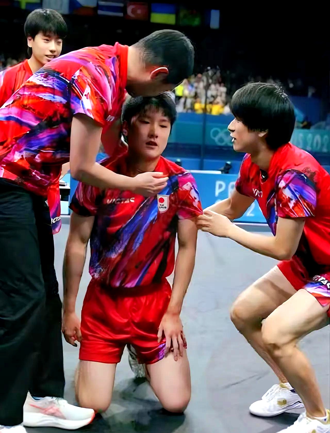 波兰乒乓球队逆转法国乒乓球队，张本智和送出助攻的简单介绍