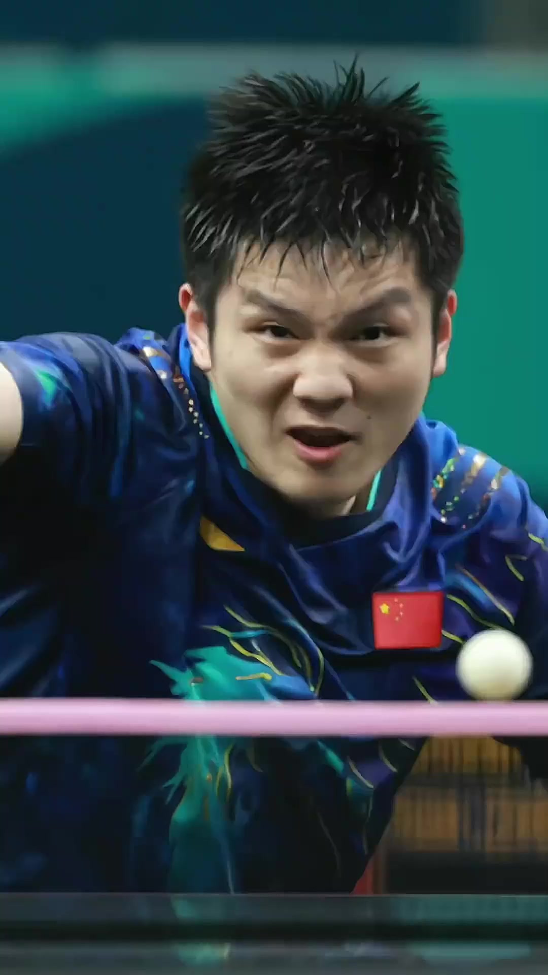 日本乒乓球队碾压法国乒乓球队，樊振东绝境逆转的简单介绍