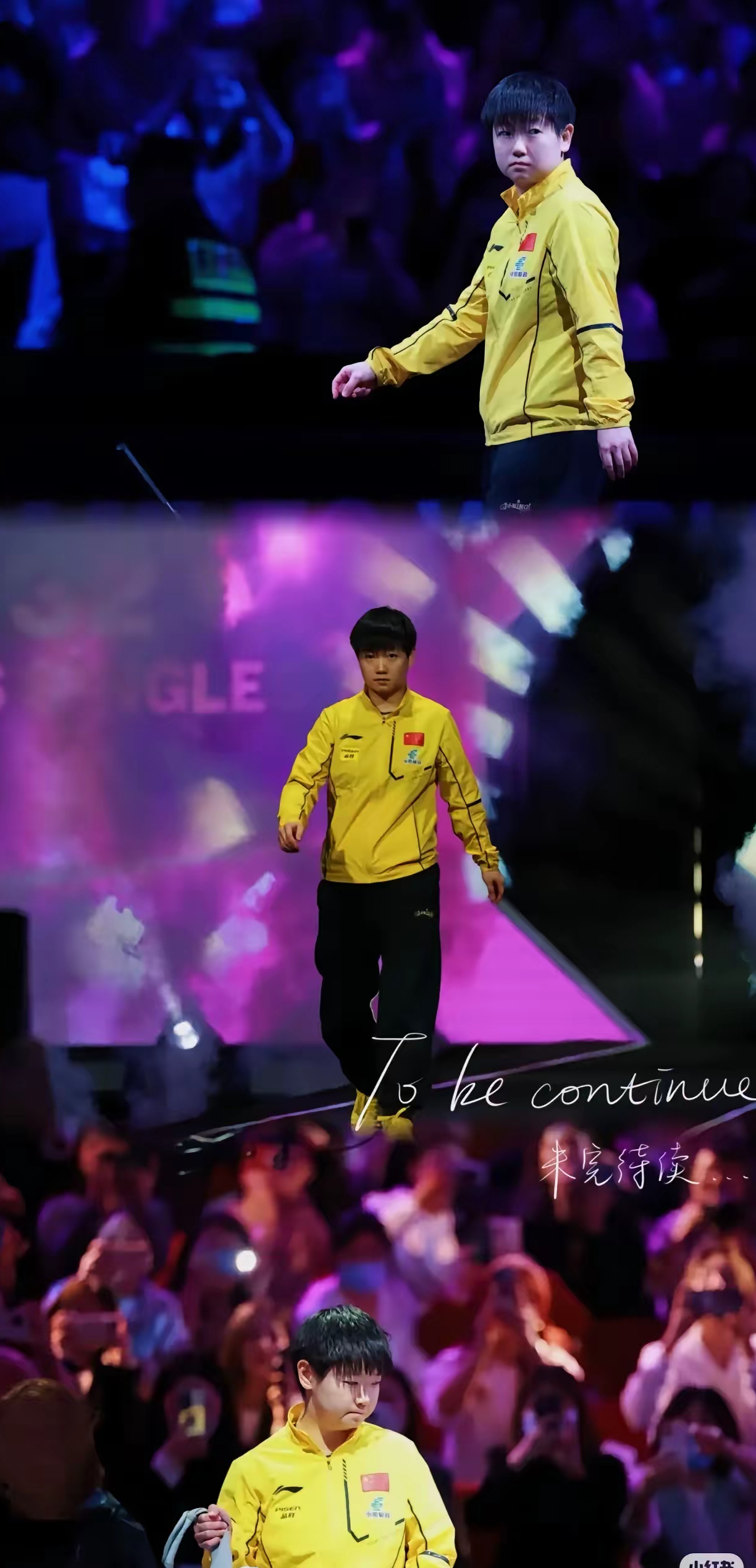 球场外人气炸裂明星缤纷亮相的简单介绍