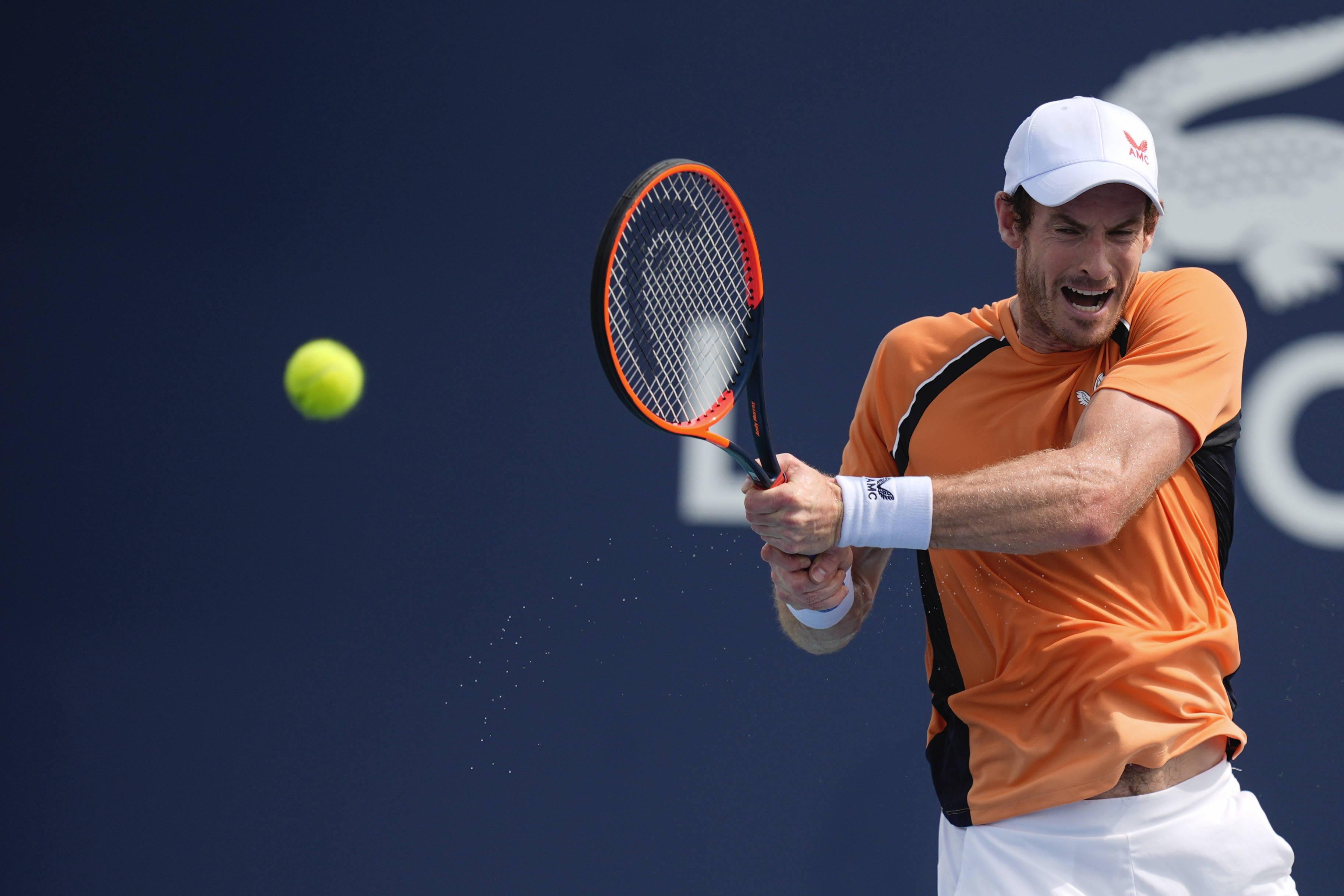 德国网球队力克英国网球队，穆雷完成帽子戏法的简单介绍