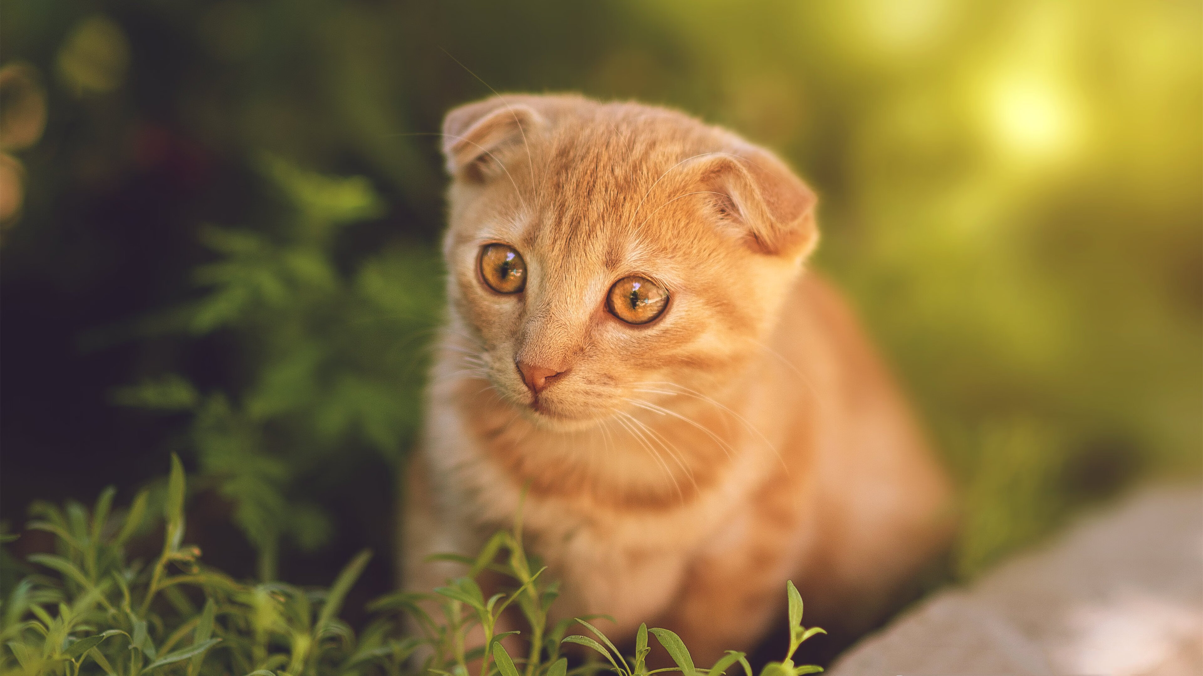 毕尔巴鄂鏖战德国，帕尔默扛起全队的意志之战