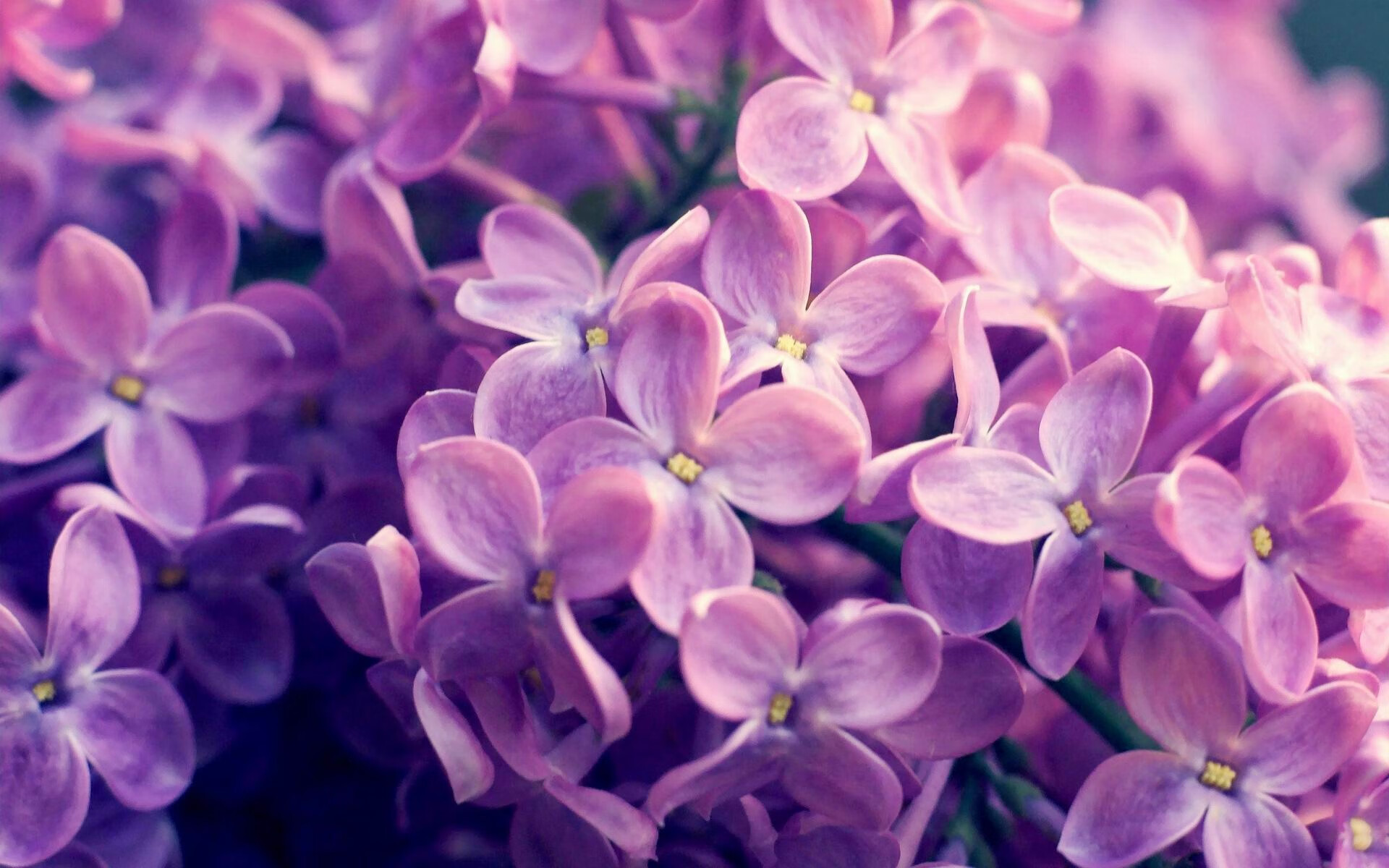 F1新赛季揭幕战之夜，保罗全程高能输出，诠释何为赛道艺术家