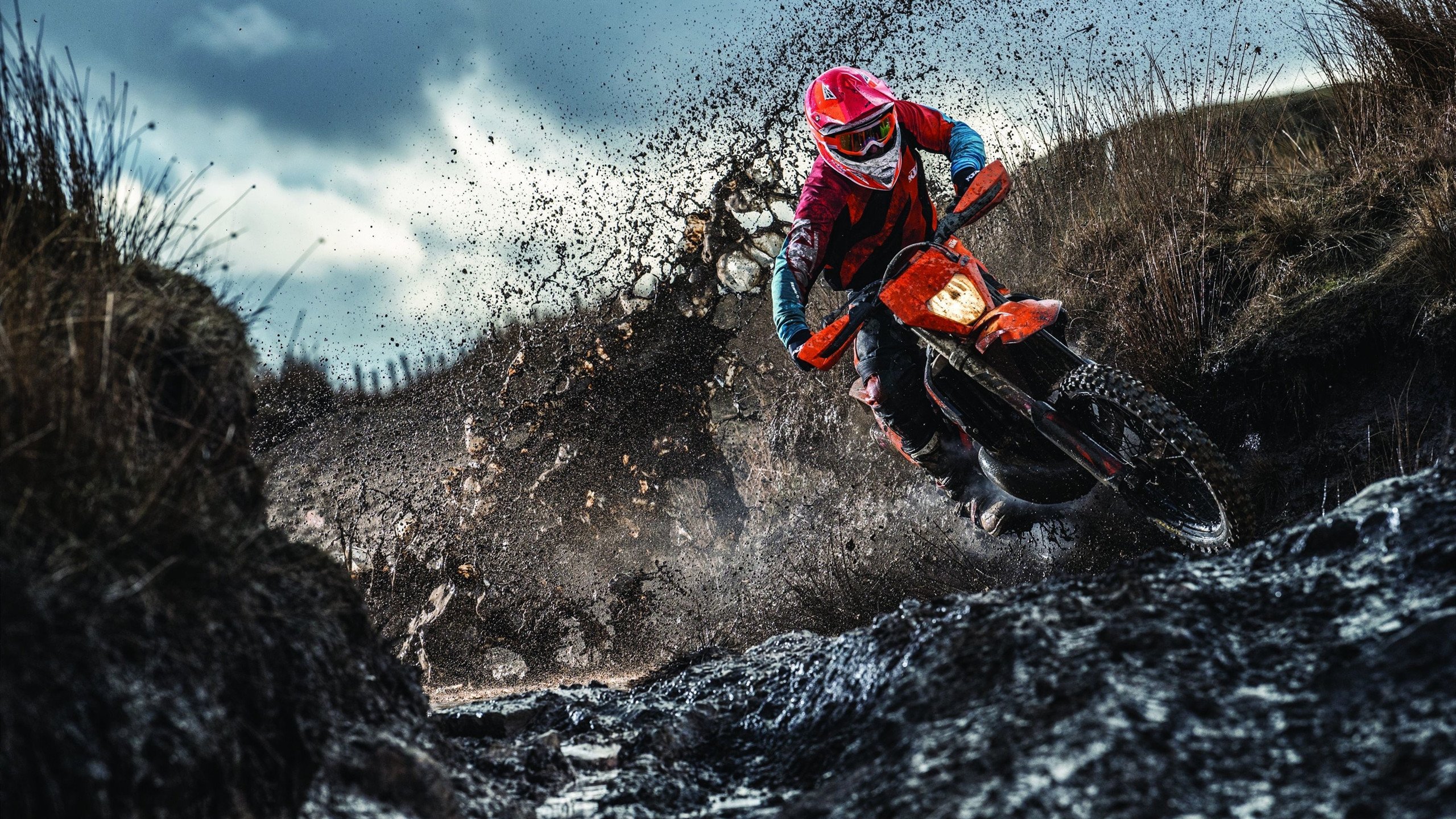 东决关键战之夜，阿劳霍持续制造杀伤